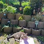 Séjour chez l'habitant Apartman Ve Vile Se Zahradou Jílové