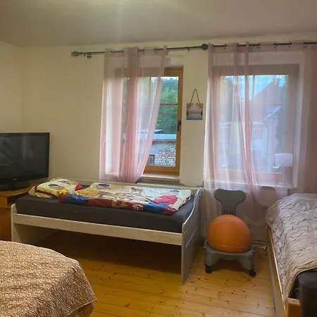 Apartman Ve Vile Se Zahradou منزل للإقامة Jílové